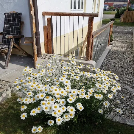 Ruhdichaus * Palling