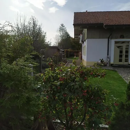 Ruhdichaus Daire *