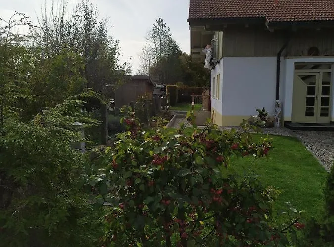 Ruhdichaus Daire *
